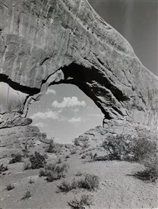 Image description is not available for 2007.002